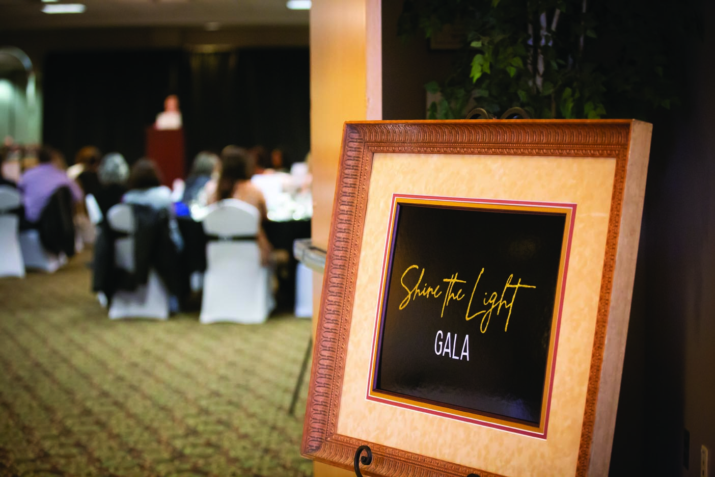 ShinetheLight-05-2023-web-0 (6)