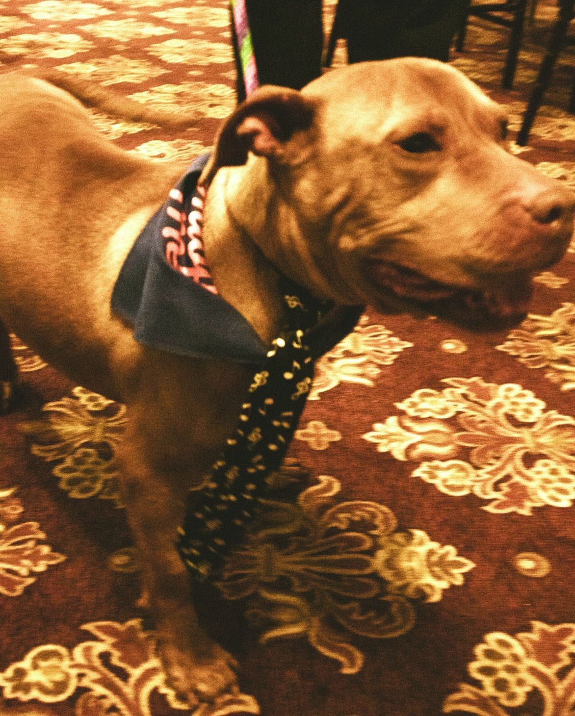 HAPS-Ties and Tales-12-2023-web-0 (4)