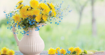 April is National Poetry MonthIn the Spring Garden
