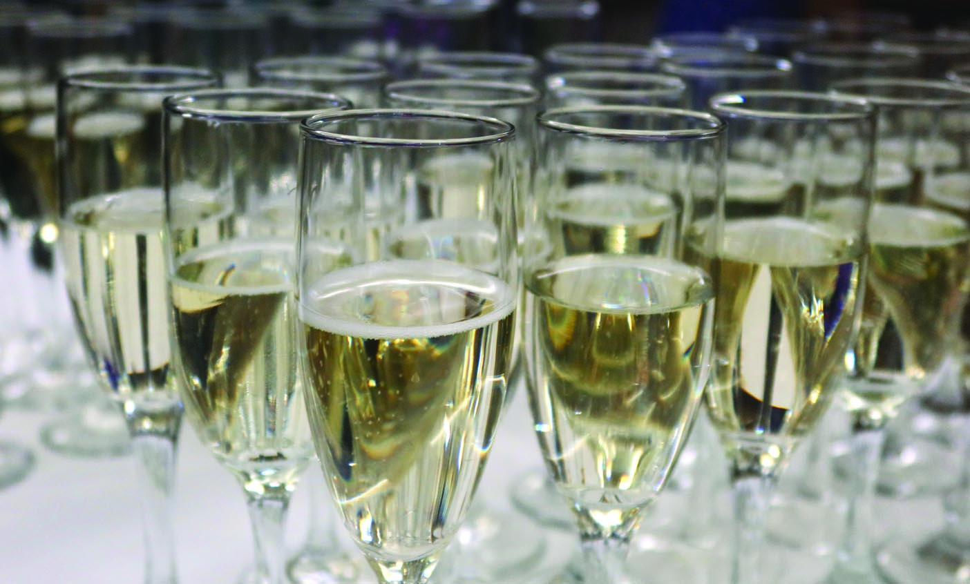 Seeing StarsSeeing Stars 2024FSPA Seeing StarsFundraiser