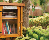 Enhance Your Neighborhood, Support Literacy with a Little Free Library!