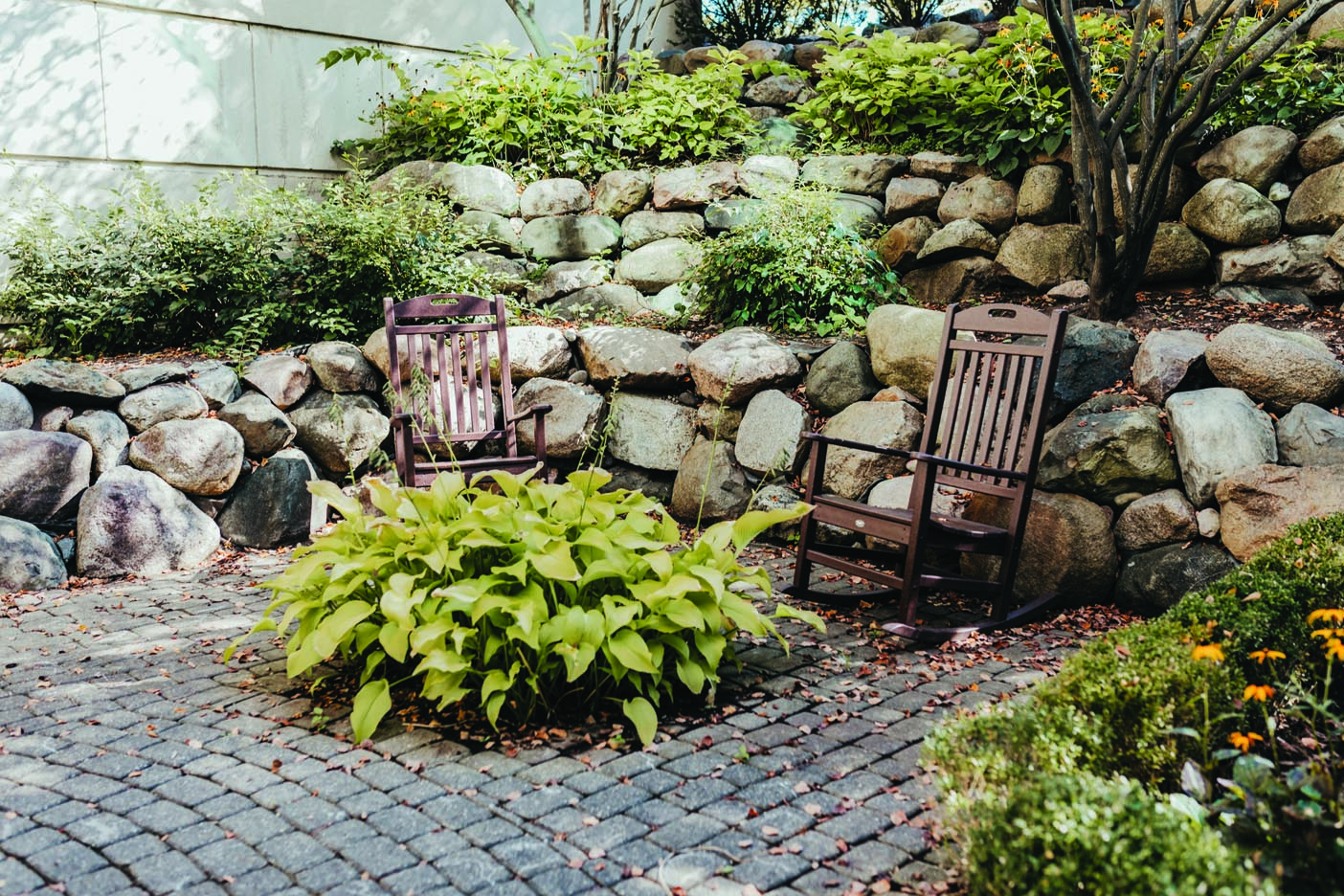 GHCI-Cares-11-2024-web-0 (1)