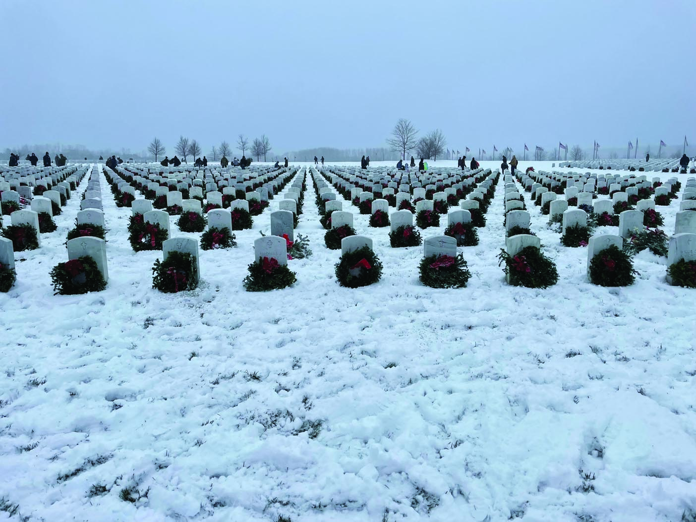 WAA-Cares-11-2024-web-0 (1)