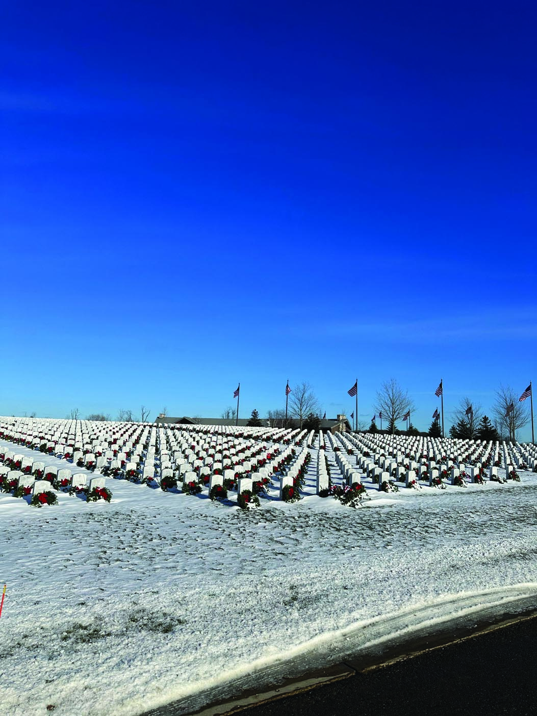 WAA-Cares-11-2024-web-0 (2)