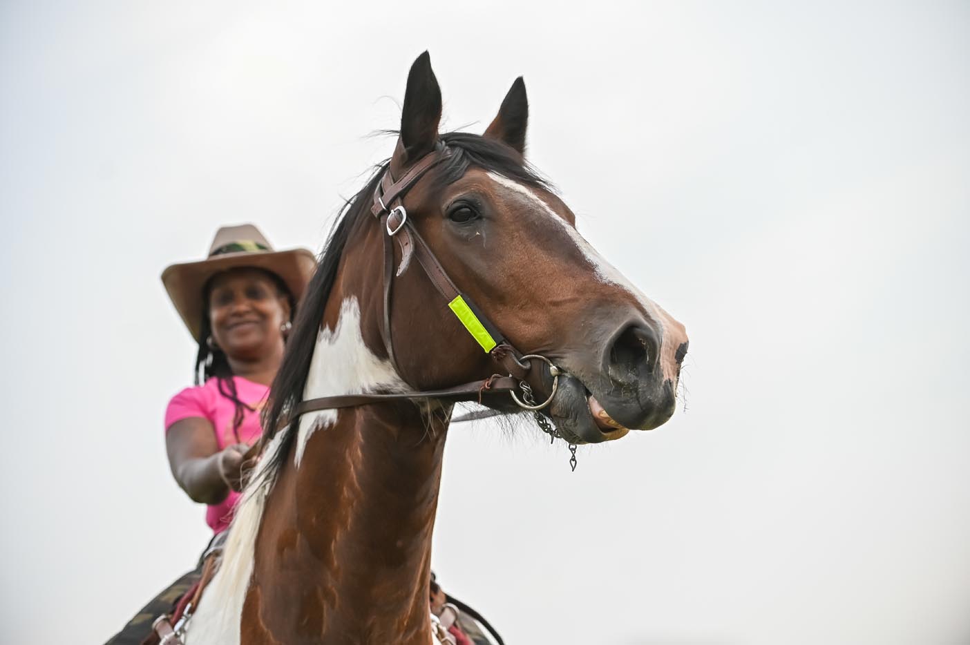 HAPS-Rodeo-07-2025-web-RayGray-0 (1)