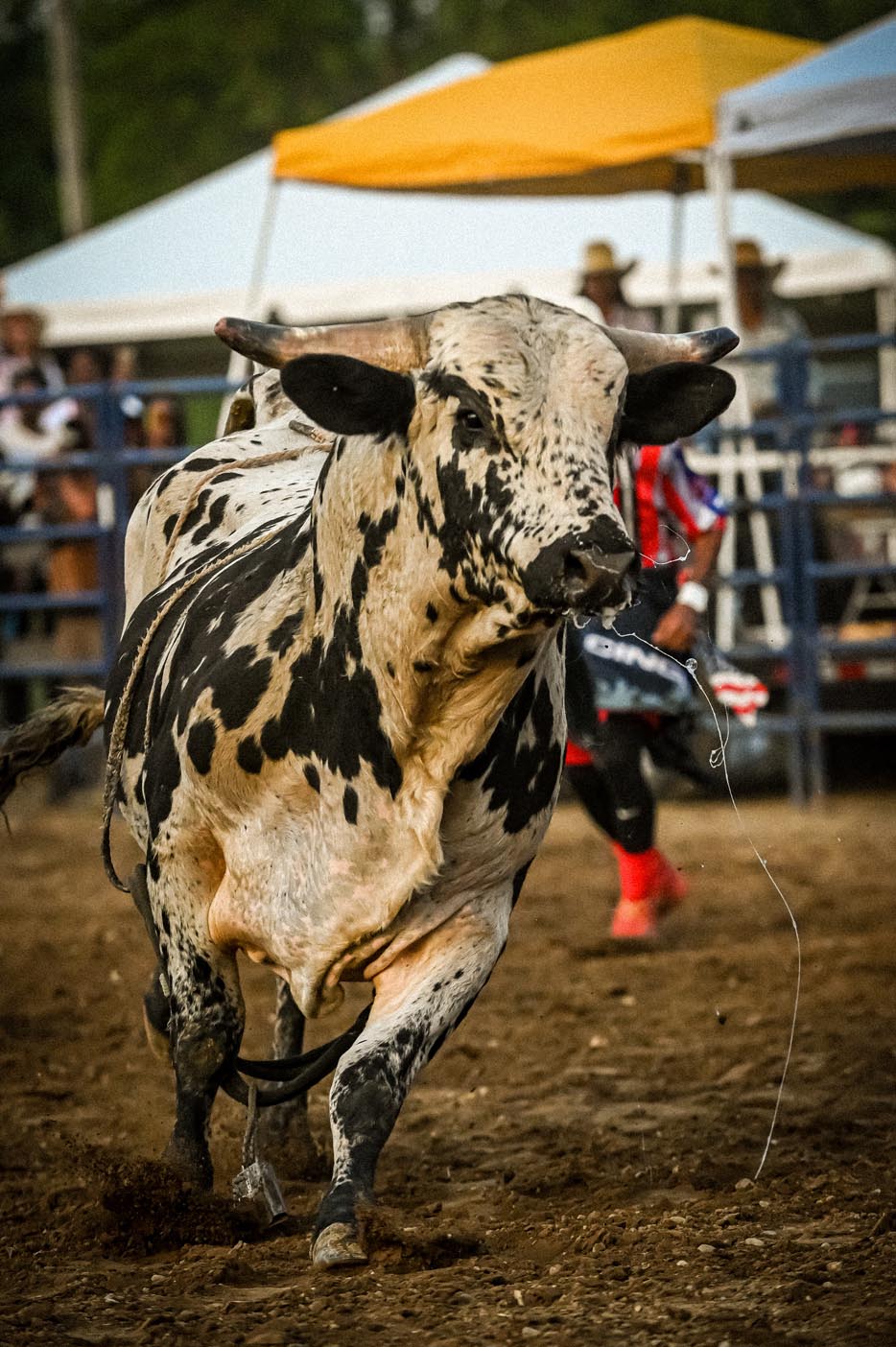 HAPS-Rodeo-07-2025-web-RayGray-0 (10)