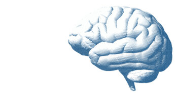 A+ Reads for Curious Minds