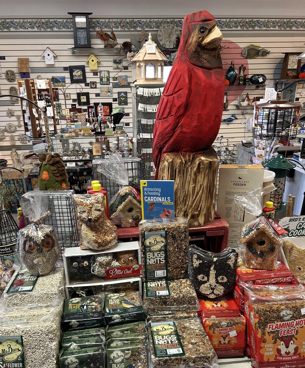 ADV-JJ-Cardinals-1125-web-feature-img-0 (1)