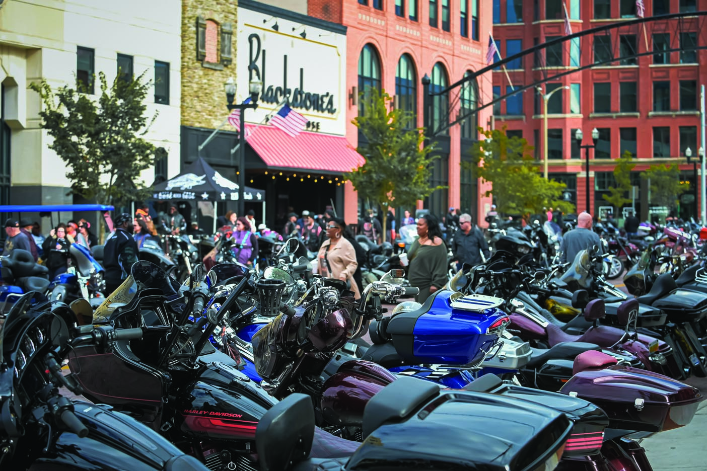 HAPS-BikesontheBricks-1125-web-feature-img-0 (9)