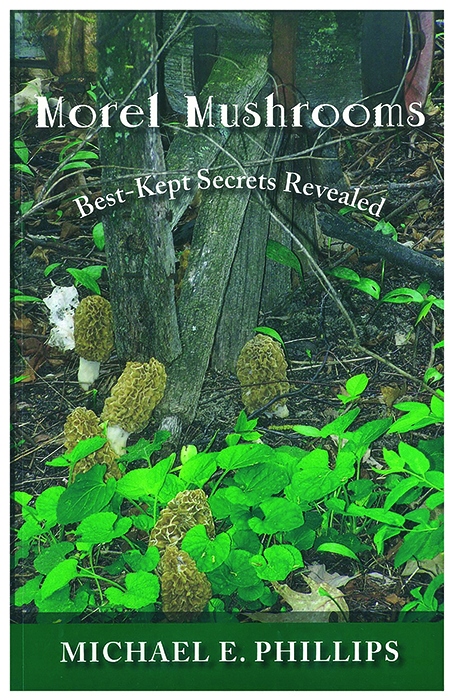 Morel Mushrooms Best-Kept Secrets