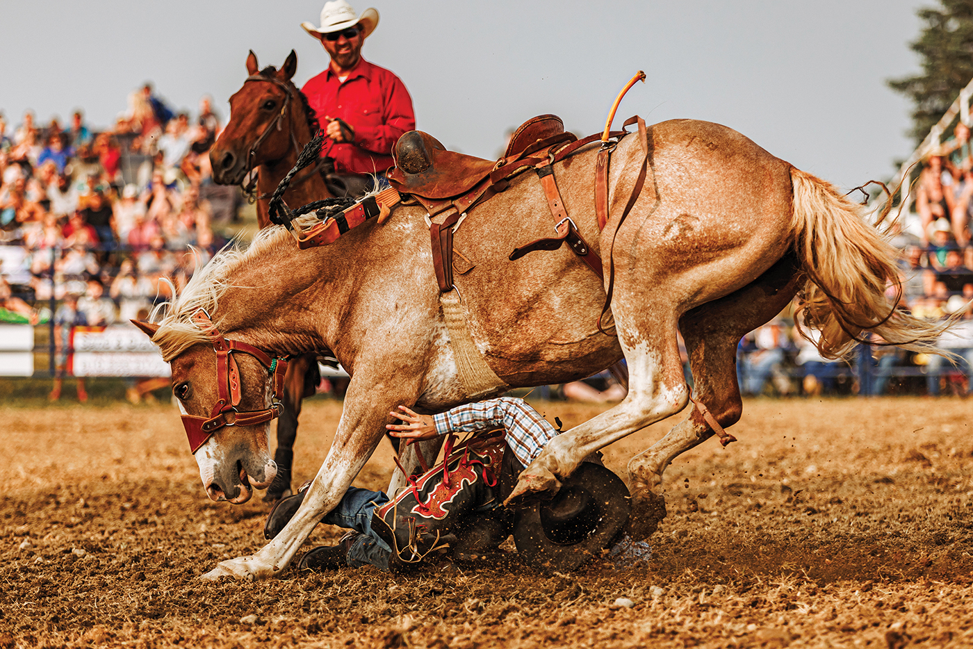 9.26 haps - carsonrobertsonphotography-gainessaturday2026-275